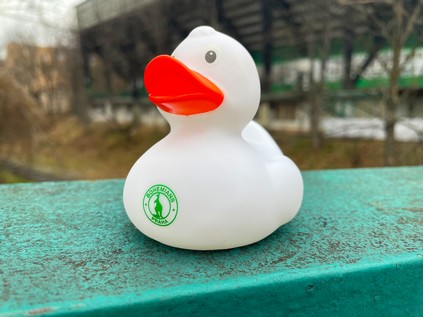 Kachnička Bohemians
